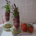 Salat-im-Glas, Rezepte