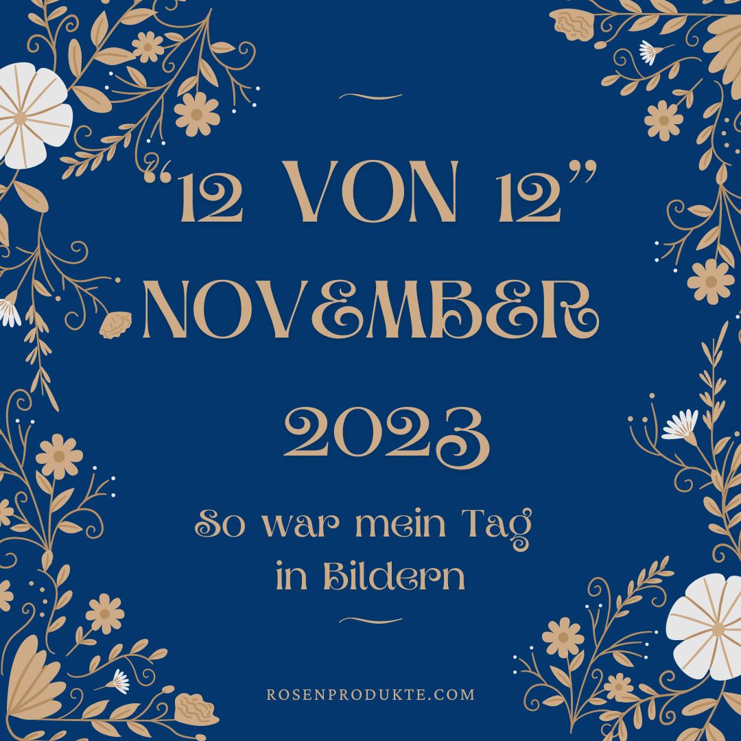 12 von 12 November 2023