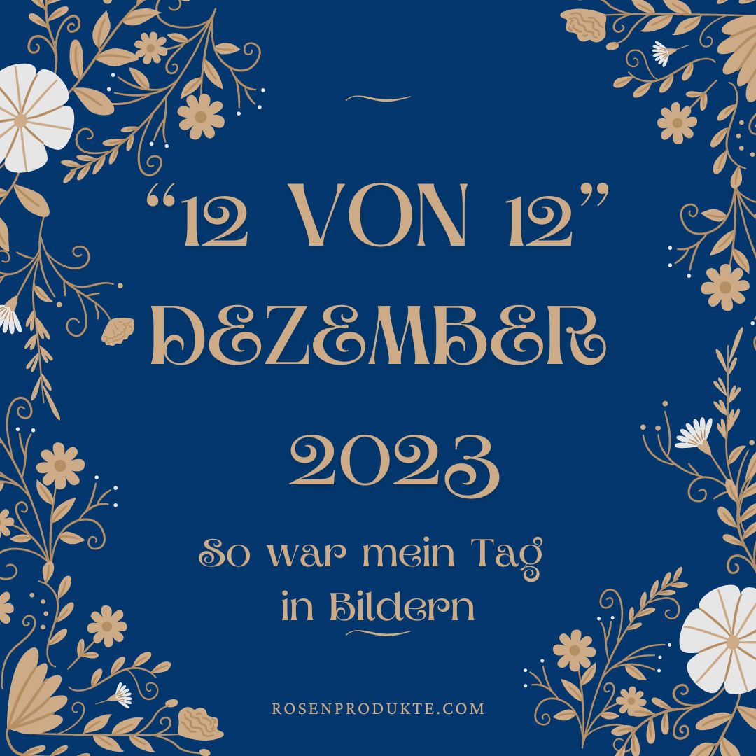 12 von 12 Dezember 2023