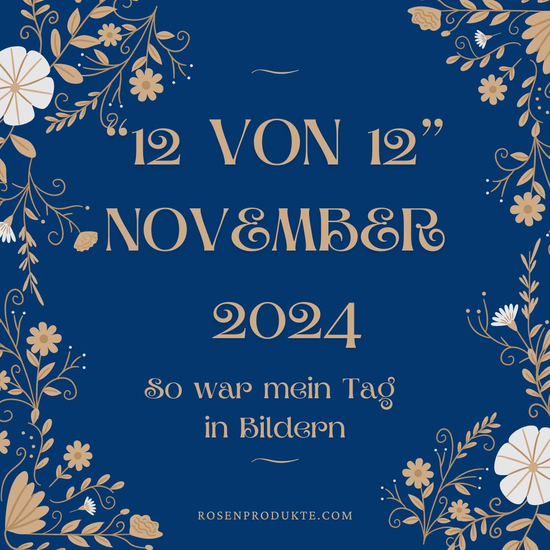 Mehr über den Artikel erfahren 12 von 12 November 2024