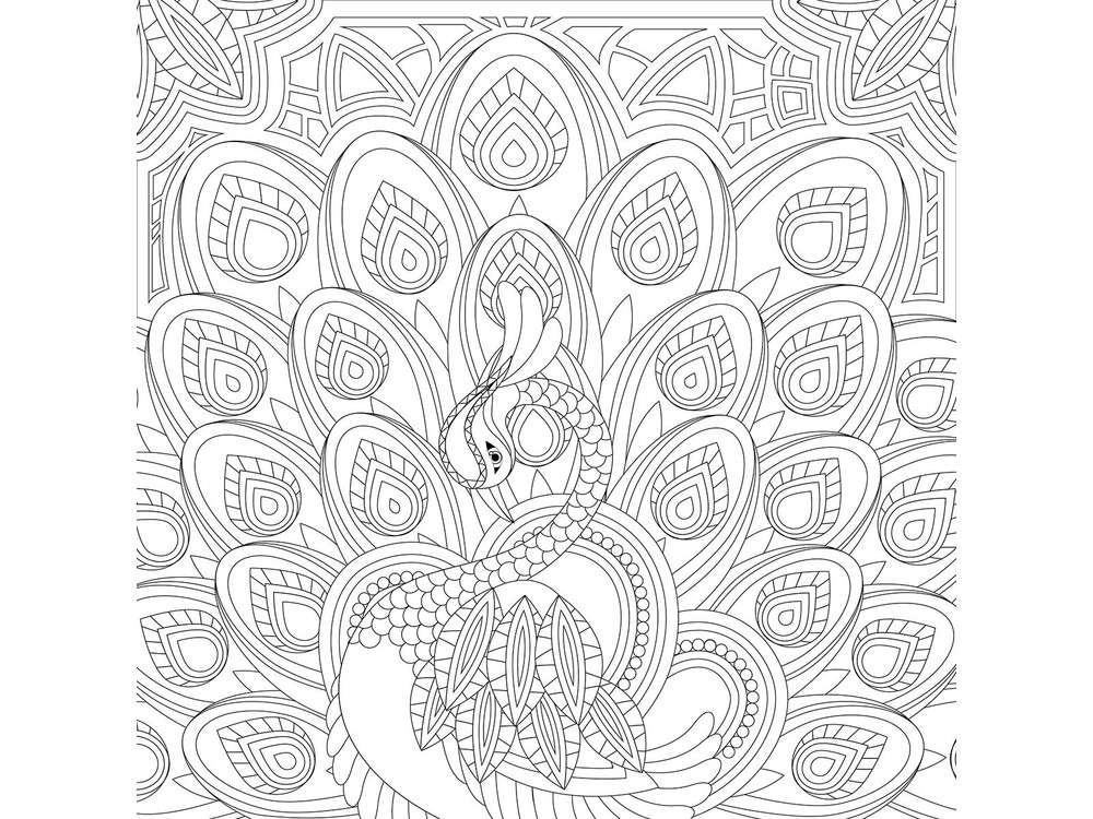 Mein erstes Buchprojekt 7 Pfau-Mandala