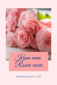 Mehr über den Artikel erfahren Kann Man Rosen Essen ?<span class="wtr-time-wrap after-title"><span class="wtr-time-number">9</span> Minuten lesedauer</span>